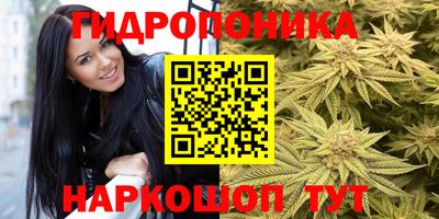трава Апшеронск