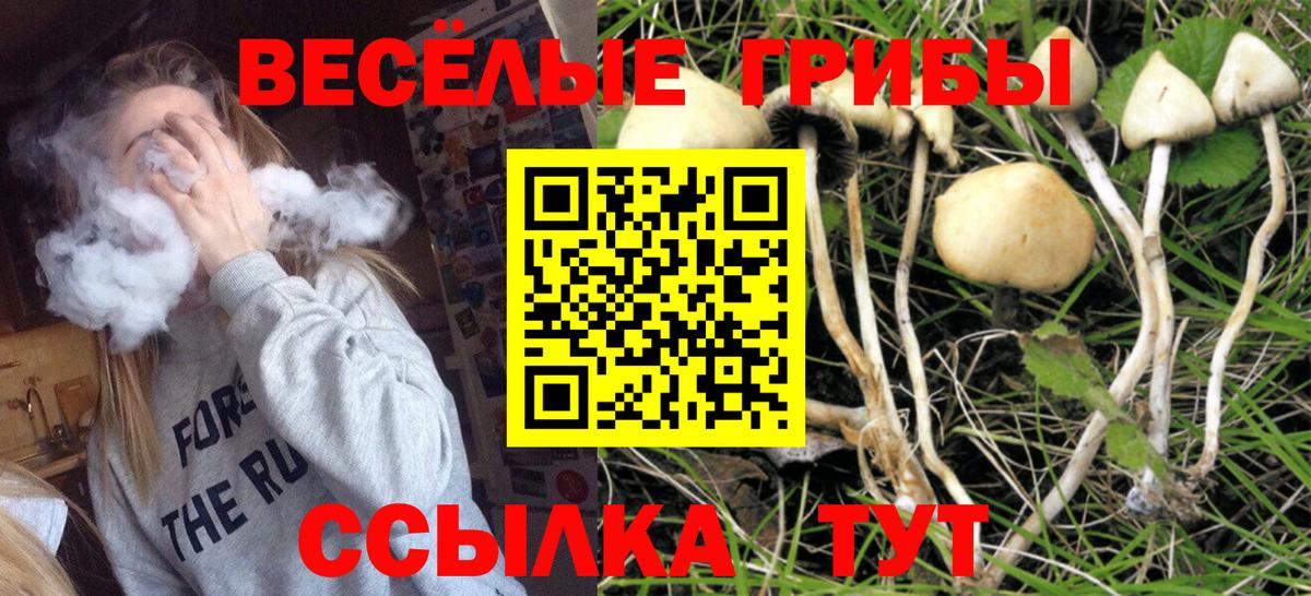 Абинск  Псилоцибиновые грибы ЛСД  Вход с VPN  Галлюциногенные грибы Magic Shrooms 